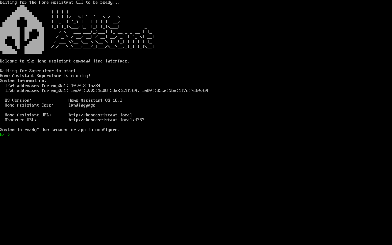 The Home Assistant OS console, ready